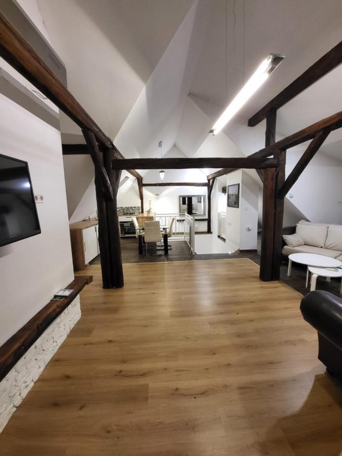 Апартаменты Apartman Buzanova Загреб Экстерьер фото